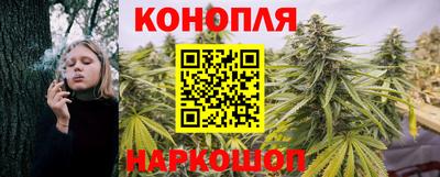 мдпв Вышний Волочёк