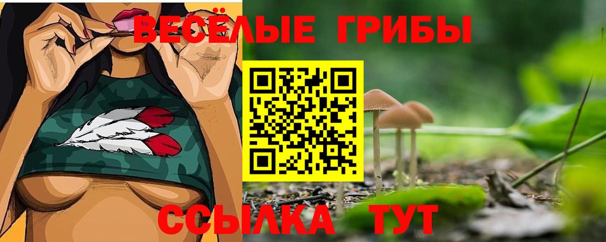 Горно-Алтайск  Галлюциногенные грибы Psilocybe  Вход с VPN 
